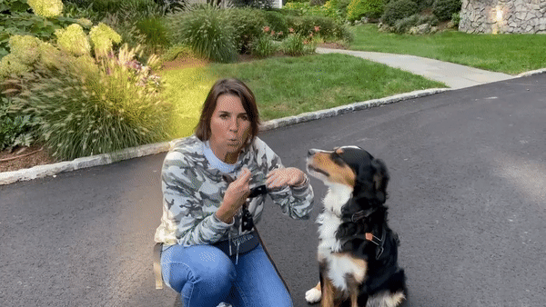 Mary-Jo Duffy: Leash Training