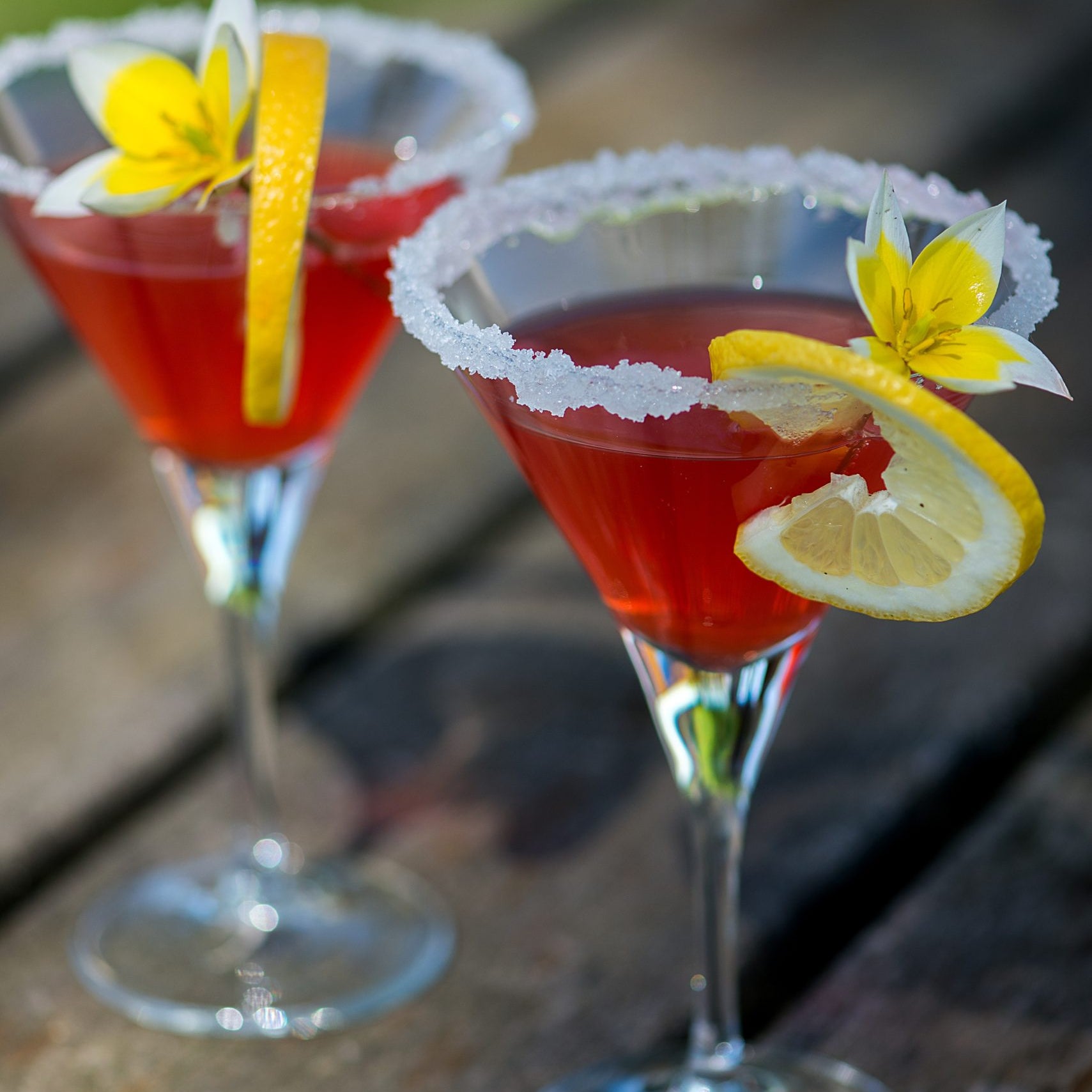 Skinnygirl Cocktails: Pink Lemon Drop