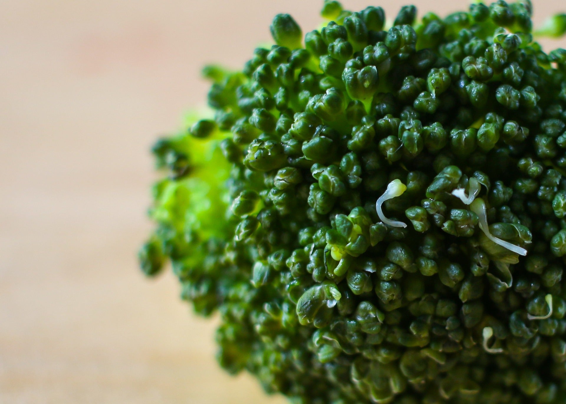 Bright Green Garlic Lemon Steamed Broccoli – Bethenny.com