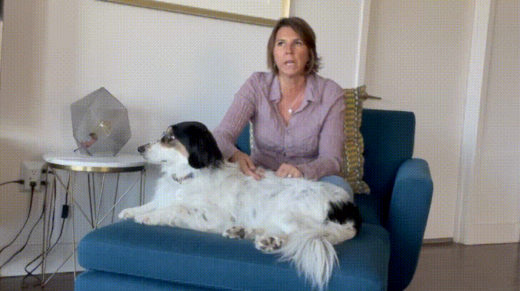 Mary-Jo Duffy: Tips for Finding a Qualified Dog Trainer